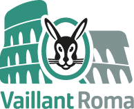 Favicon Vaillant Roma, via Cheren 12, tel. 0621126250